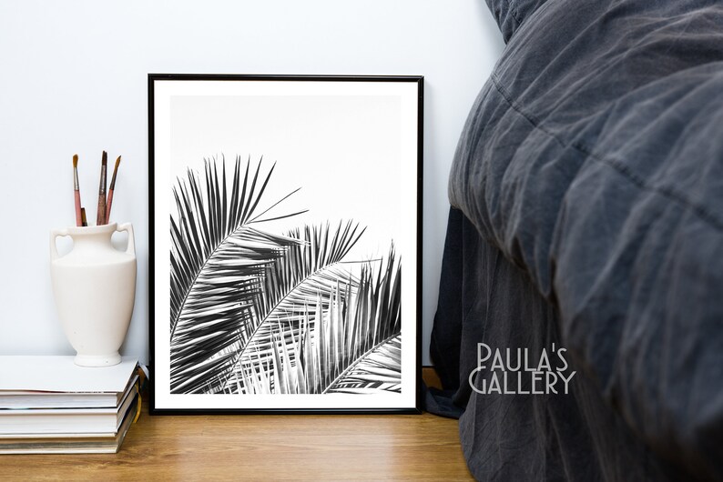 May include: Black and white photograph of palm tree leaves against a white background. The image is framed in a black frame.