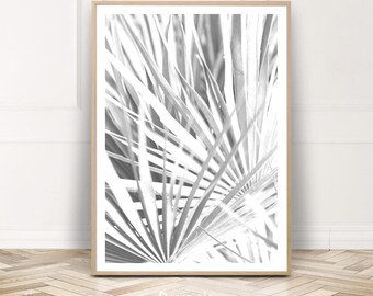 Black White Palm Print, Digital Palm Print, Botanical Wall Art, Palm Leaves Photography, Home Decor, Tropical Leves Instant Download