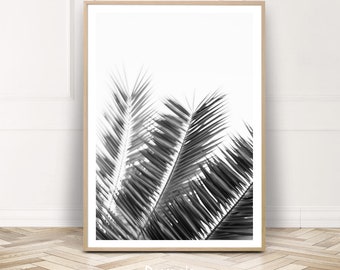 Palm Leaf Print, Palm Tree Wall Art, Black White Palm Decor, Printable Digital Download, Tropical Photography, Home Decor Gift