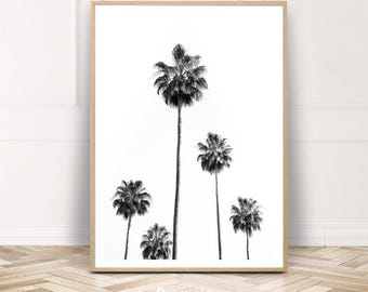 Palm Trees Photography, Palm print, printable palm tree, california home decor, minimalist wall art, black white photography, tropical art