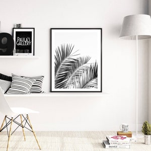May include: Black and white photograph of palm tree leaves against a white background. The image is framed in a black frame.