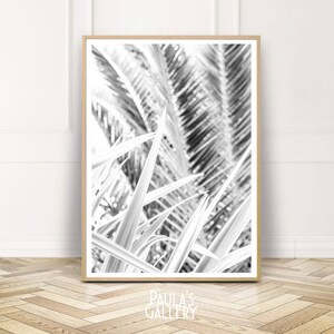 Tropical Leaves Print,Palm Leaf Print,Large printable poster,jungle nursery,Instant Download,abstract botanical photography