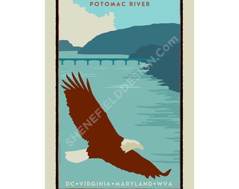 Potomac River Eagle