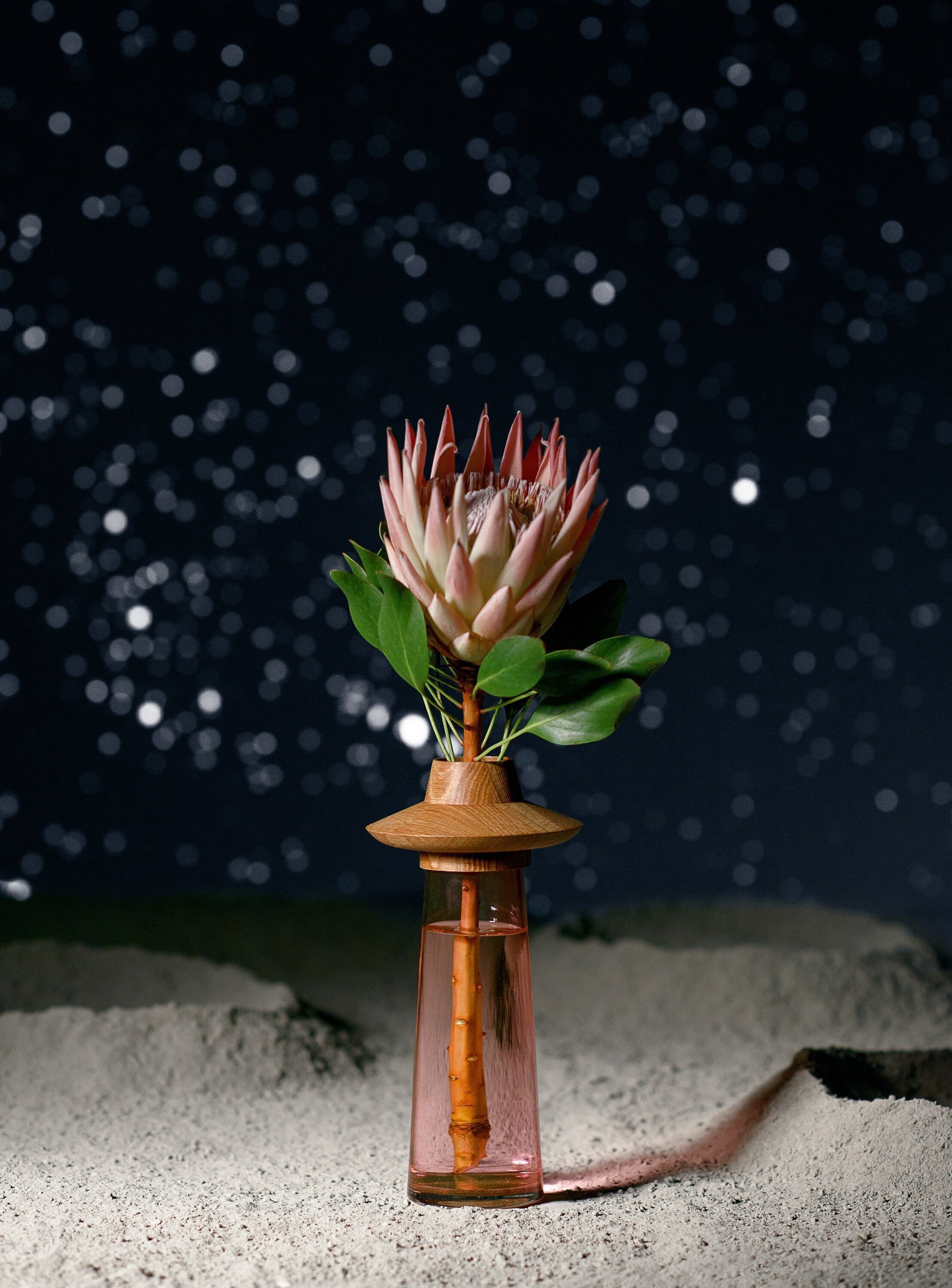 Decorative Flying Saucer Flower Vase of Colored Glass Unique Etsy