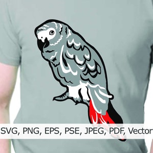 African Grey, Parrot, parrot svg, bird svg, Pet svg, African grey svg, pet bird, Cricut svg, African grey, Exotic pet, svg, png, Ai,cut file