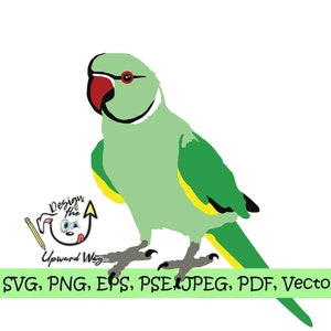 Verde indiano Ringneck Papagaio SVG svg pássaro PNG png Pet Cricut Exótico animal de estimação veterinário aviário voo Ai arquivo de corte Silhueta vermelha