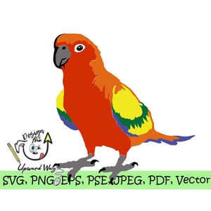 Sun Conure Parrot SVG svg bird PNG png Pet Cricut Exótico animal de estimação veterinário aviário voo Arquivo de corte Ai Silhueta Sun periquito América do Sul laranja vermelho