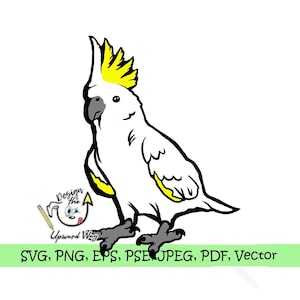 Papagaio de cacatua de crista amarela SVG svg pássaro PNG png Pet Cricut Exótico animal de estimação veterinário aviário voo Ai arquivo de corte Silhueta