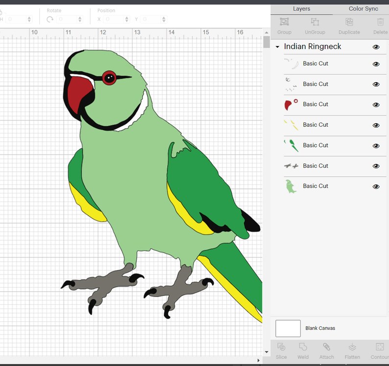 Green Indian Ringneck Parrot SVG Svg Bird PNG Png Pet Cricut Exotic Pet ...