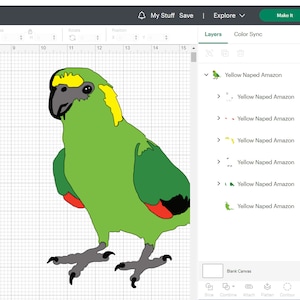 Amarelo Naped Amazon Parrot SVG svg pássaro PNG png Pet Cricut Exótico animal de estimação veterinário aviário voo Ai arquivo cortado Silhueta