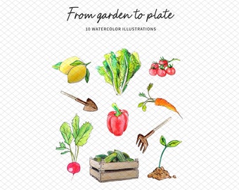 Gardening objects | Watercolor illustrations | Hand drawn | Vegetables and fruits | Cropped illustrations | Pngs | Instant download