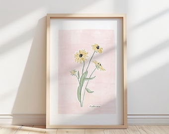Illustration av Rudbeckiablomma – Botaniskt konsttryck