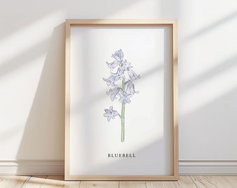Ilustración de flor de campanilla azul – Impresión de arte botánico