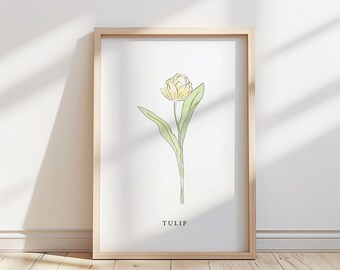 Illustration av tulpanblomma – Botaniskt konsttryck