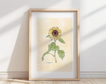 Solrosblommaillustration – Botaniskt konsttryck
