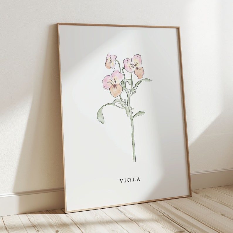 Viola Flower Illustration – Botanical Art Print - Etsy