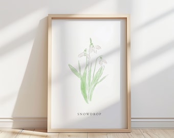 Snowdrop Flower Illustration – Botanical Art Print
