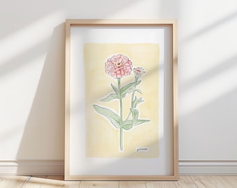 Illustration av Zinniablomma – Botaniskt konsttryck