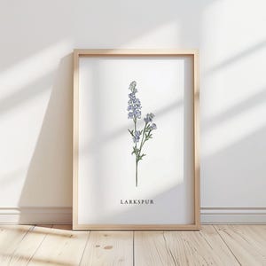 Illustration de fleur de pied d'alouette - impression/affiche - art botanique, décoration d'intérieur printemps/été, impression de fleurs, art mural sans cadre.