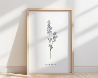 Illustration av riddarsporrblomma – Botaniskt konsttryck