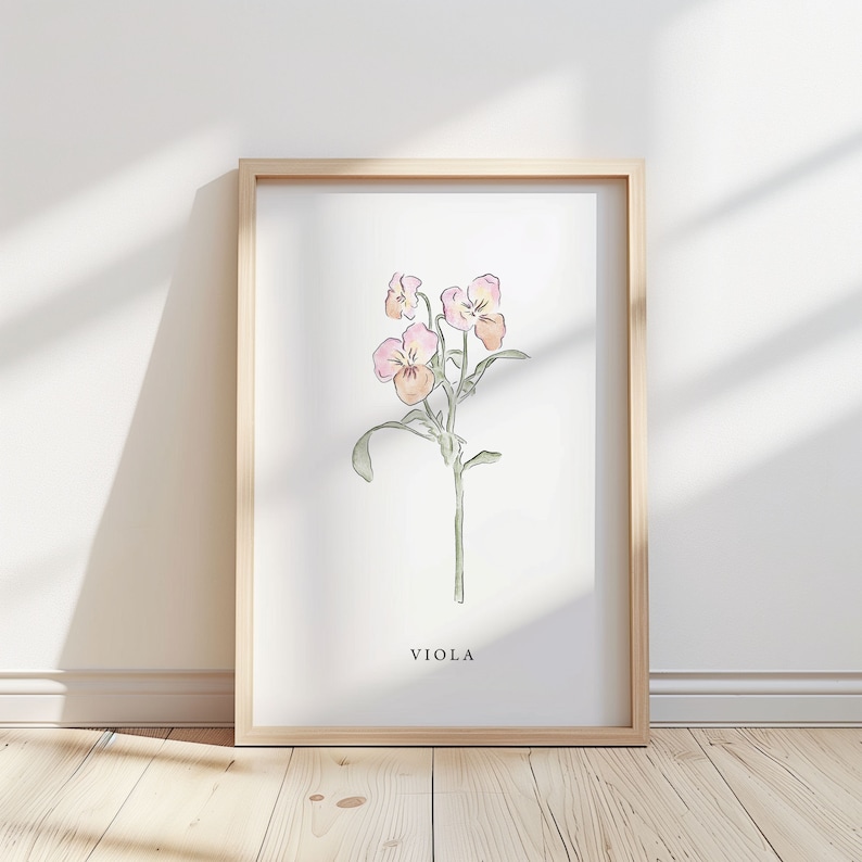 Viola Flower Illustration – Botanical Art Print - Etsy