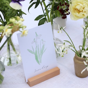 Met de hand geïllustreerde winterbloemen tafelplan bruiloft en evenement / tafelkaarten / bruiloftsbriefpapier