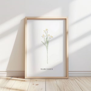 Ilustración de la flor de Narciso - Impresión / Póster - Arte botánico, Decoración del hogar de invierno, Estampado de flores, Arte de pared sin marco.