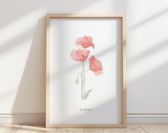 Vallmoblommaillustration – Botaniskt konsttryck