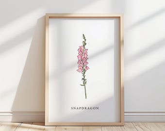 Illustration av lejongapblomma – Botaniskt konsttryck