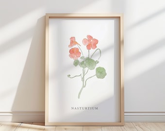 Kapuzinerkresse - Kapuzinerkresse Illustration – botanischer Kunstdruck
