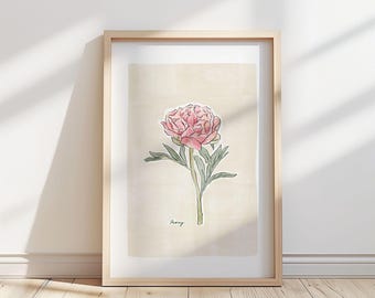 Illustration av pionblomma – Botaniskt konsttryck