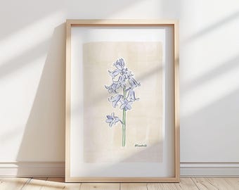 Illustration av blåklockablomma – Botaniskt konsttryck