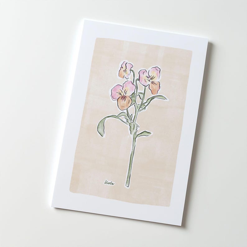 Viola Flower Illustration – Botanical Art Print - Etsy