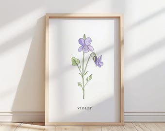 Violett blommaillustration – Botaniskt konsttryck