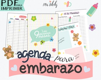 Pregnancy Diary Agenda (Print)