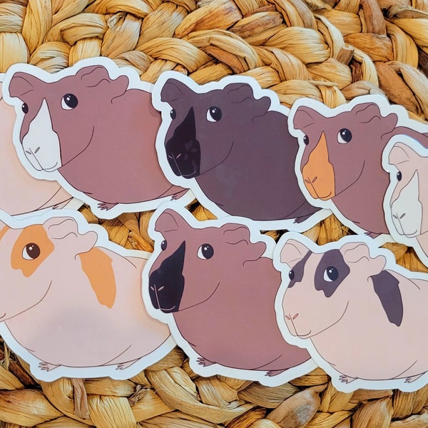 Skinny Pigs | Guinea Pigs | Hairless Guinea Pigs | Bald | Variety | Animal Sticker | Cute Vinyl Sticker | Cavy | Pet Sticker | Small Animal