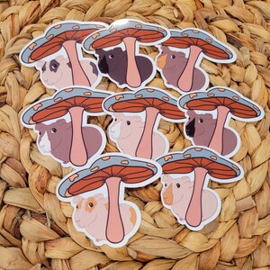 Skinny Pig Mushroom Vinyl Stickers | Hairless Guinea Pig | Cottage Core | Pastel Sticker | Animal Sticker | Pet Sticker | Cute Sticker | Fun