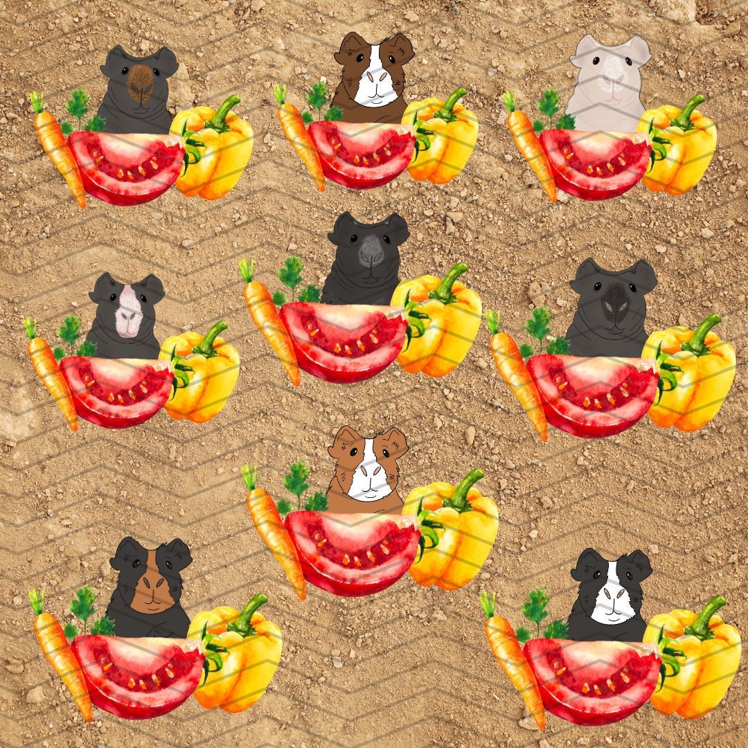 Vegetable Guinea Pig Vinyl Stickers Skinny Pig Stickers Etsy vegetable-guinea-pig-vinyl-stickers-skinny-pig-stickers-etsy
