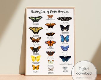 Butterflies of North America Real Photos Educational Poster, Homeschool Chart, Montessori Classroom, Science Art Decor, School Printable