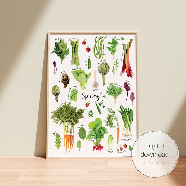 Spring Seasonal Food Educational Chart Poster, Vegetables, Homeschool Print, Montessori Classroom, Real Photos Wall Decor, Digital Download