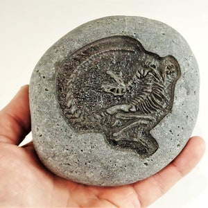 Fun Discovery Activity for Kids, Unique Paperweight, or Shelf Decor. Dinosaur Fossils Laser Engraved on River Stones: T-Rex Skull or Raptor