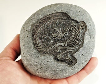 Dinosaur Fossils Engraved on River Stones: T Rex Skull or Raptor Dino Skeleton. Fun Discovery Activity for Kids, Paperweight, or Shelf Decor
