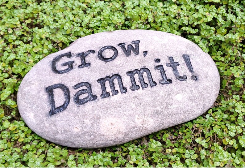 Letrero para jardín "Grow Dammit": metal o piedra grabada, ¡el más vendido en humor de jardín! imagen 5
