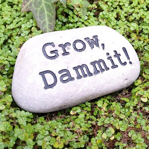Puede incluir: Una piedra gris con las palabras "Grow, Dammit!" escritas en letras negras. La piedra est&aacute; sentada en un lecho de musgo verde.