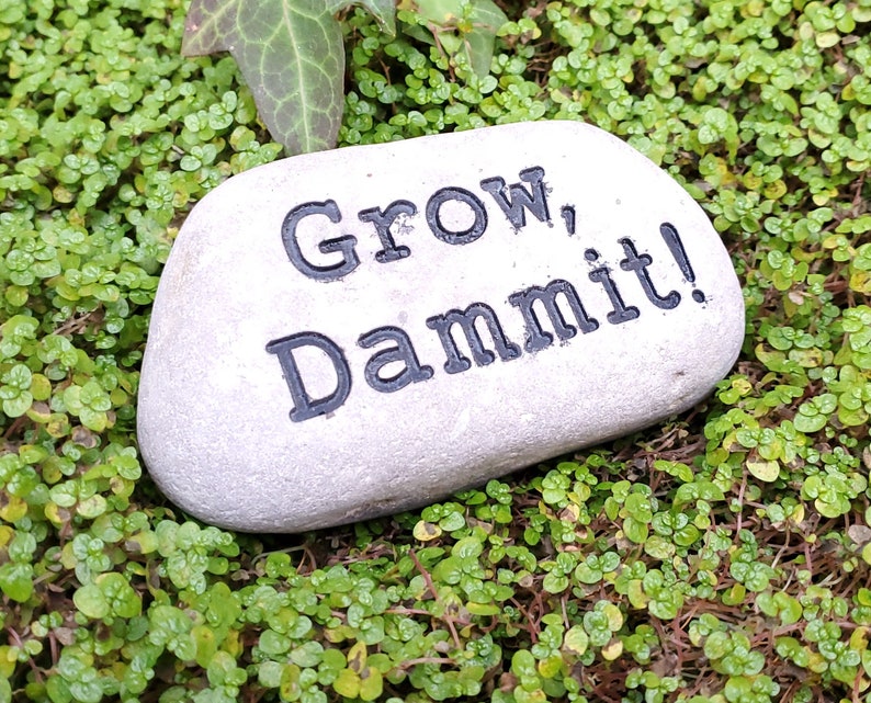 Puede incluir: Una piedra gris con las palabras "Grow, Dammit!" escritas en letras negras. La piedra est&aacute; sentada en un lecho de musgo verde.