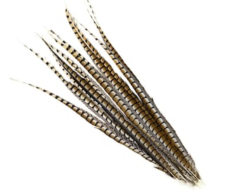 35" Lady Amherst Pheasant Tail Feathers, Natural Grey Bronze, Millinery Fashion 3 pieces