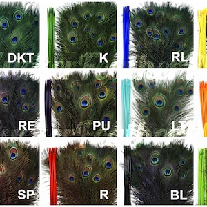 Dyed Peacock Feathers 8-15 inches long StemDyed Over Natural Peacock 5 to 100 Feathers available in 12 colors ZUCKER®