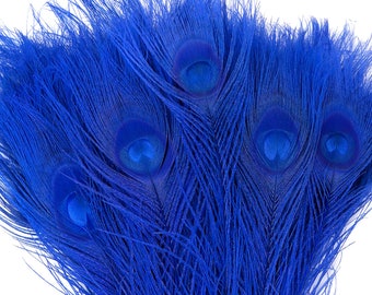 Peacock Feathers, 5 to 100 Pieces, ROYAL Blue Bleached Dyed Tails, Peacock Eye Feathers 8 to 15 inches, ZUCKER® USA Store