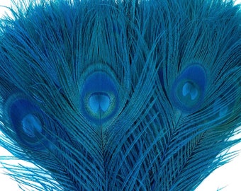 Peacock Feathers, 5 to 100 Pieces, Dark TURQUOISE Bleached Dyed Tails, Peacock  Feathers ZUCKER®