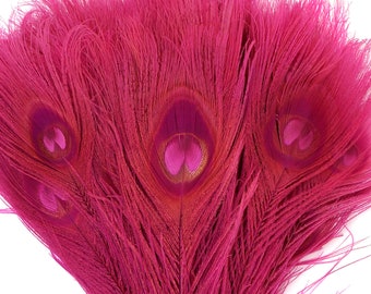 Peacock Feathers, 5 to 100 Pieces, SHOCKING Hot Pink Bleached Dyed Tails, Peacock  Feathers ZUCKER®